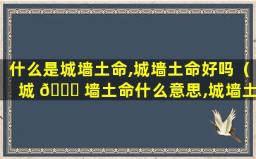 什么是城墙土命,城墙土命好吗（城 🐟 墙土命什么意思,城墙土命好不好）